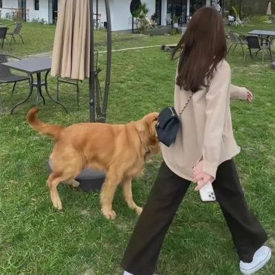 比阿特丽克斯·波特的故事